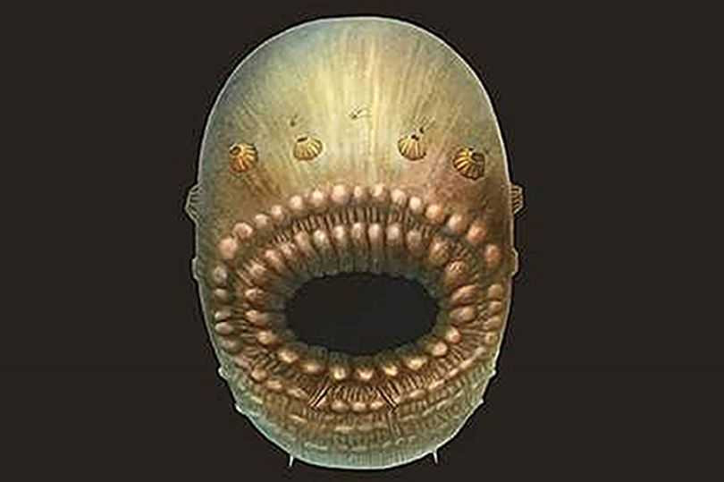 EMB-Humankind-evolution