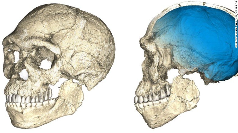 170606123843-02-homo-sapiens-fossils-exlarge-169