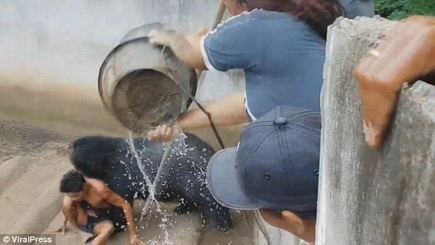 nguoi-dan-ong-bi-gau-danh-bat-tinh-vtcnews-3 3