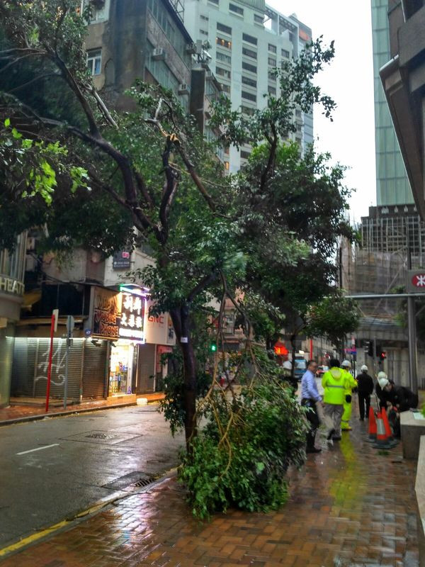 anh-sieu-bao-hong-kong-7 9