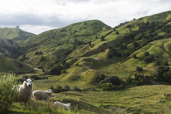 top-20-nuoc-dep-18-newzealand 18