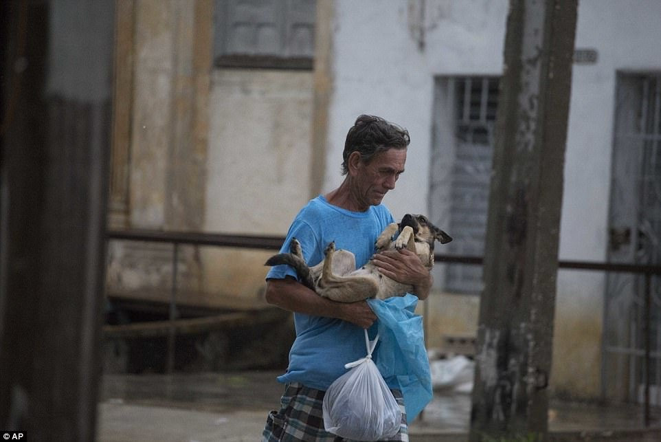 so-tan-dong-vat-sieu-bao-irma-6