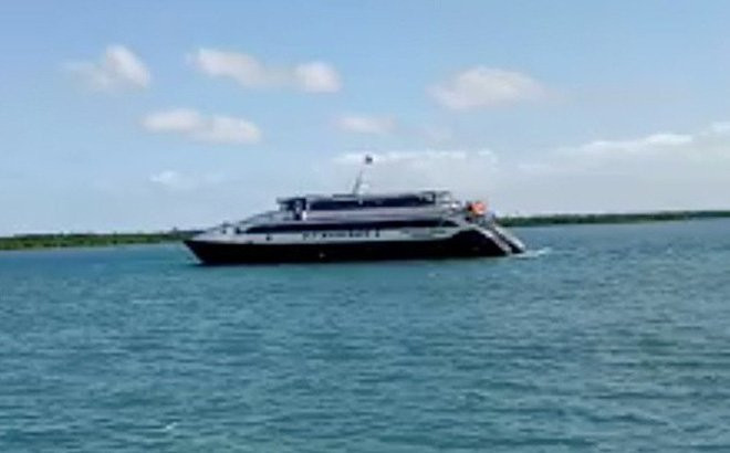 chim pha o philippines