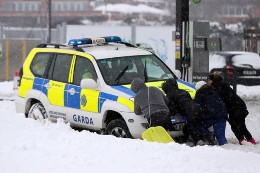 Quai-Vat-Phuong-Dong