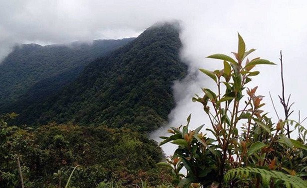 29202004.438855.3755