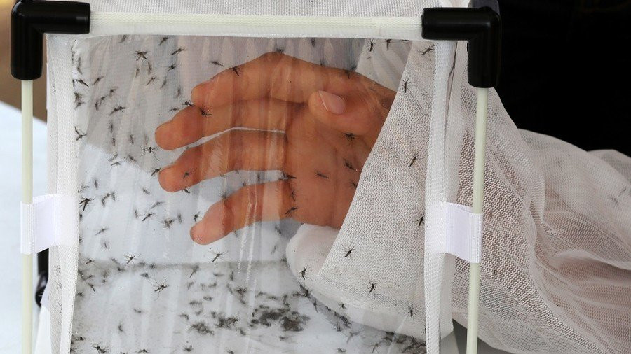 5bb6a924fc7e93063f8b458c