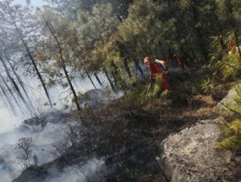 chay_tai_van_nam_jjod