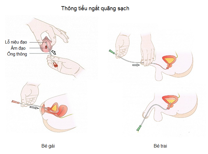 bang-quang-than-kinh