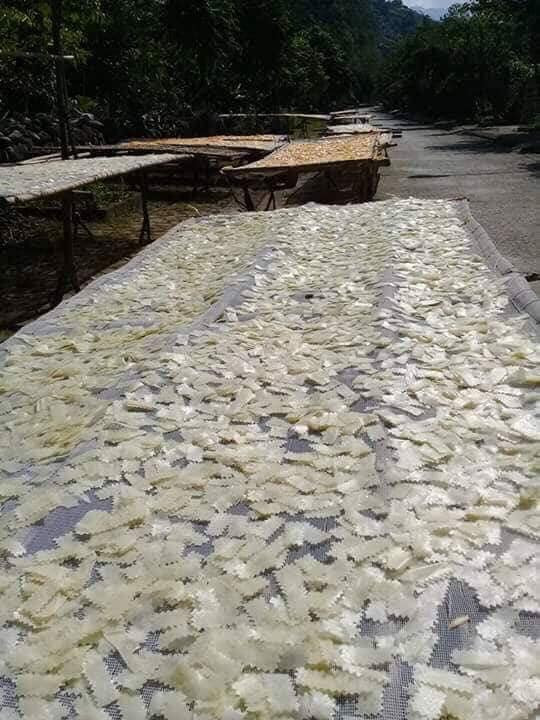 42697441_2406497766043789_9201144425751773184_n 8