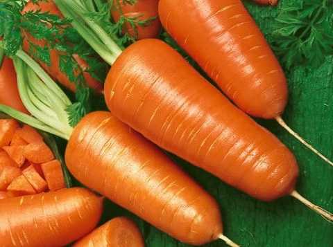 5-cam-ky-khi-an-ca-rot-ban-can-phai-biet