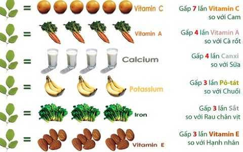dinh-duong-cay-chum-ngay