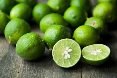 dung_bo_hat_chanh_de_het_ho_khoi_tao_bon_va_khong_so_ran_can_1