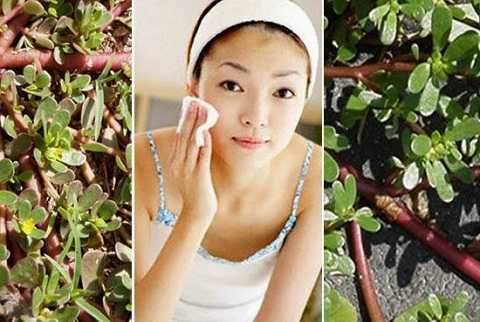 Tri-mun-bang-phuong-phap-tu-nhien-voi-5-loai-nuoc-ep-3