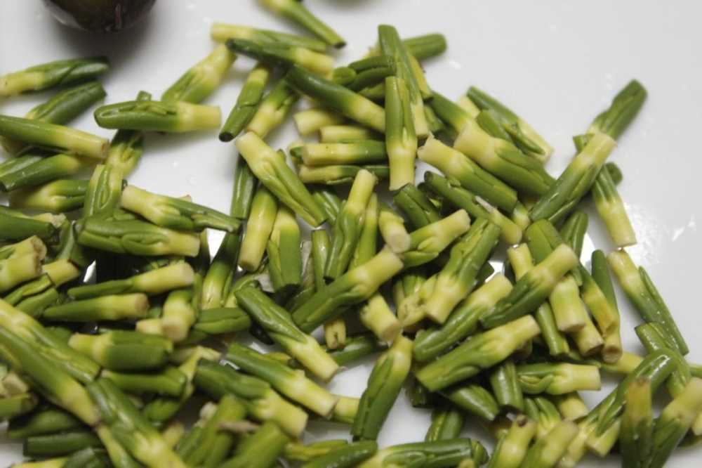 tac-dung-chua-benh-tu-hoa-sen1
