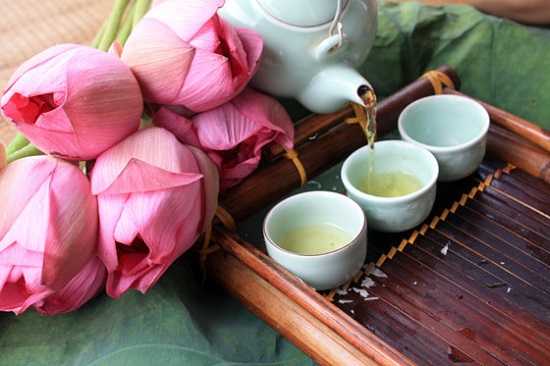 tac-dung-chua-benh-tu-hoa-sen2