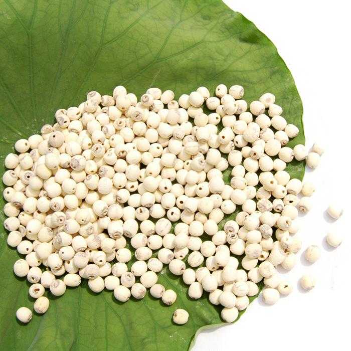 tac-dung-chua-benh-tu-hoa-sen5