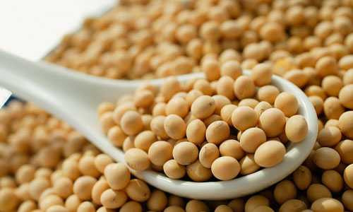 ung-thu-tuyen-tien-liet1