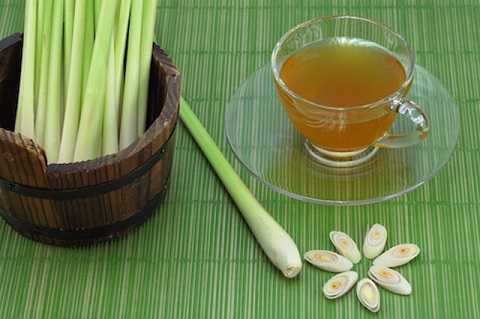 sa-co-cong-dung-chua-nhieu-benh