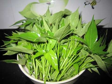tac-dung-cua-rau-khoai-lang
