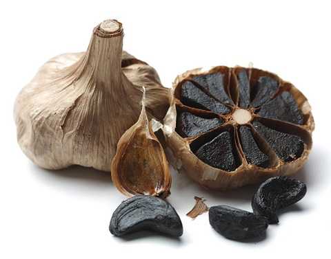 cong-dung-cua-toi-den-1