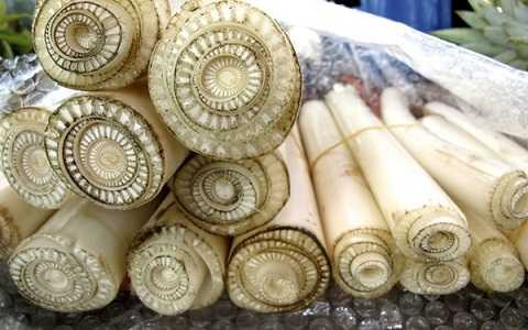 tac-dung-cua-nuoc-ep-chuoi1