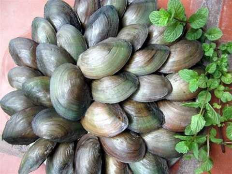 Thit-trai-chua-phien-nhiet-hao-khat