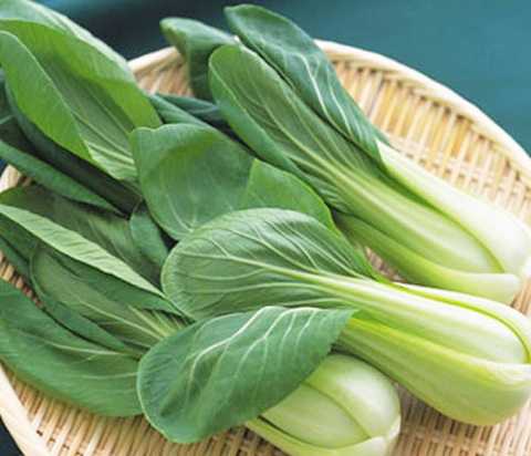 nhung-nguoi-tuyet-doi-khong-nen-an-rau-cai