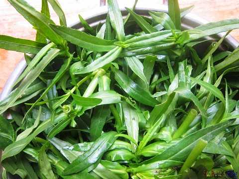 tri-soi-than-bang-rau-ngo