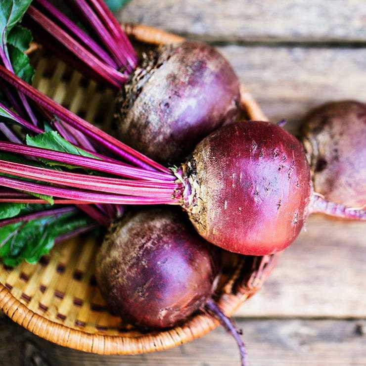 thuc-pham-bo-duong-cang-an-cang-doc1