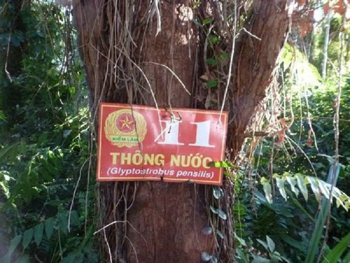 162_-thong-nuoc 13