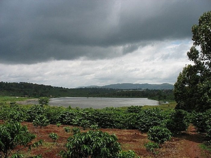 Thuy20tung203JPG1359612374 12