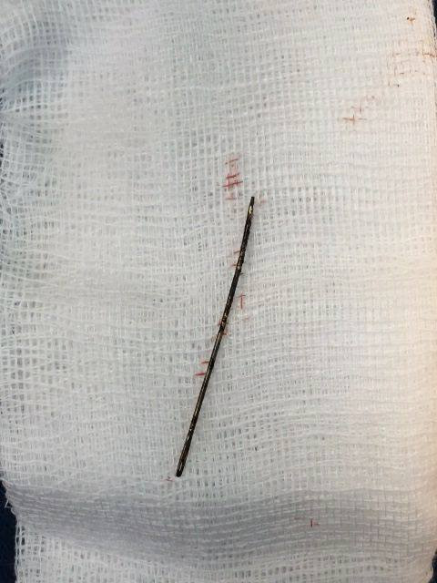 22752861_1349877185134561_464492875_n