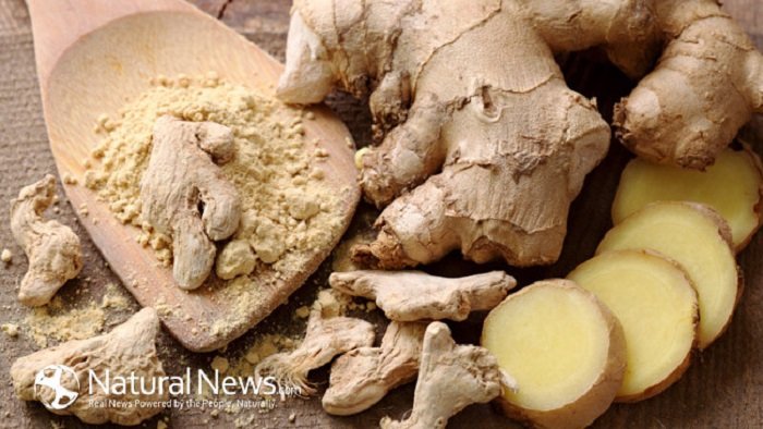 Ginger-Rood-Herb-Spoon-650X