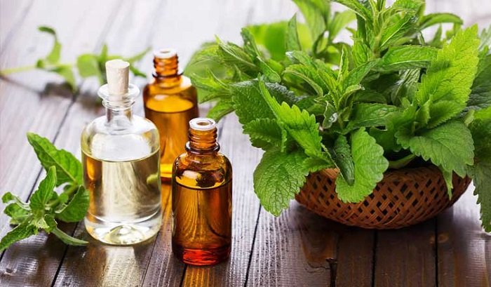 peppermint-oil-health-benefits 5