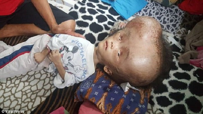 4667F07200000578-5088223-image-a-15_1510823169678