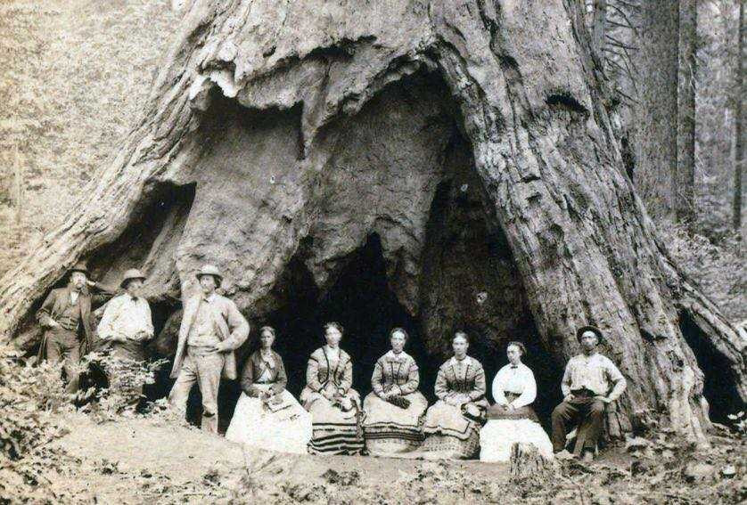 15965510_150657878758261_2212664800383073037_n