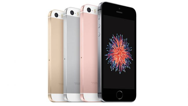 340416bef8bb44dc3da4837925c89e78-650-80