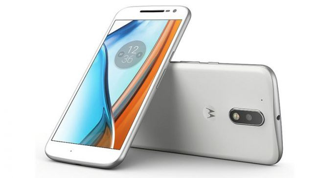 6d0c479a4a8b5c747224165fc8274051-650-80