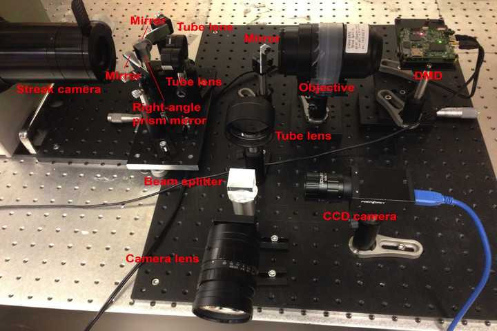 lle-cup-system-with-labels-720x720