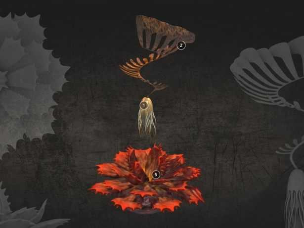 Stunning-3D-images-show-scientifically-based-depictions-of-life-on-other-worlds (2)