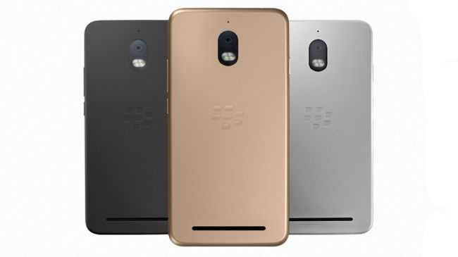 TBVef3ERdpMhGjpUNfLyeR-650-80