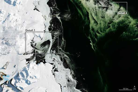 Green-ice-Antarctic-Nasa-pictures-863669