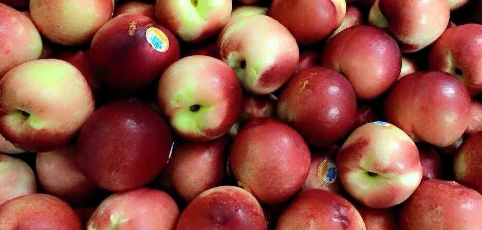 1425271341_vivibibifb4e6835b2fbcf939f673f0dce2e9fdd