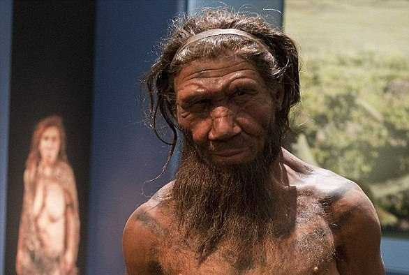 Hop so nguoi bi an , hoa thach so nguoi, hóa thạch hộp sọ, hóa thạch sọ người ở tây ban nha, hộp sọ, sọ người, não người, cổ đại, tổ tiên của loài người, tin tức, tin tức thế giới, tin tức trong ngày - 3