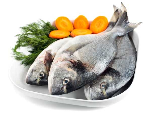 fish-15-1489559997