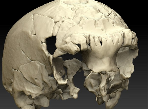 Hop so nguoi bi an , hoa thach so nguoi, hóa thạch hộp sọ, hóa thạch sọ người ở tây ban nha, hộp sọ, sọ người, não người, cổ đại, tổ tiên của loài người, tin tức, tin tức thế giới, tin tức trong ngày - 1