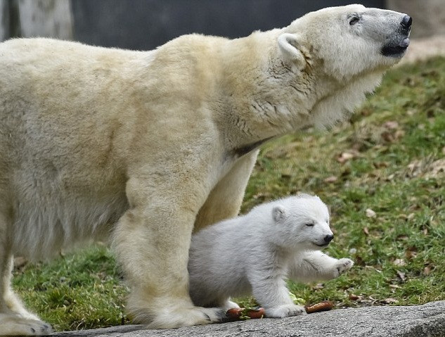 3E677DE400000578-4326878-image-a-45_1489852775427