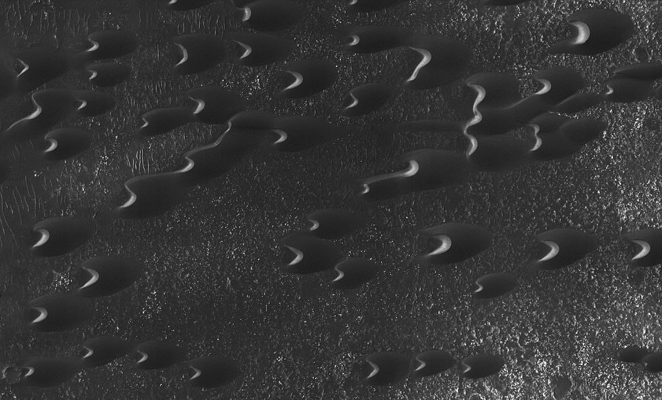 3E9849D500000578-4346520-Sand_dunes_are_scattered_across_Mars_and_one_of_the_larger_popul-a-48_1490372123530