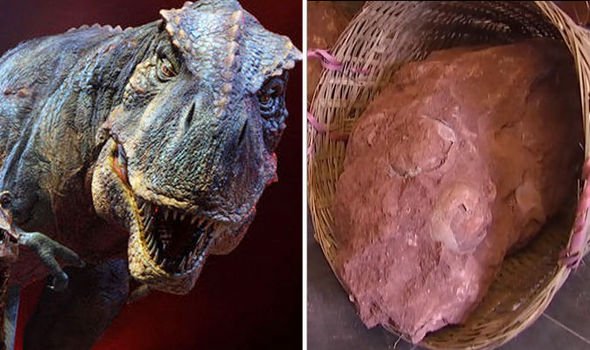 Pictures he suddenly discovered fossilized dinosaur eggs in construction