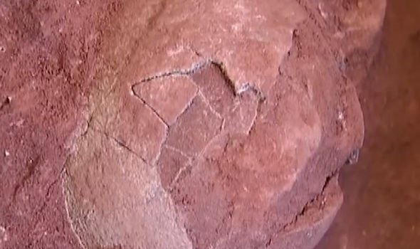 Pictures he suddenly discovered fossilized dinosaur eggs in constructions 4